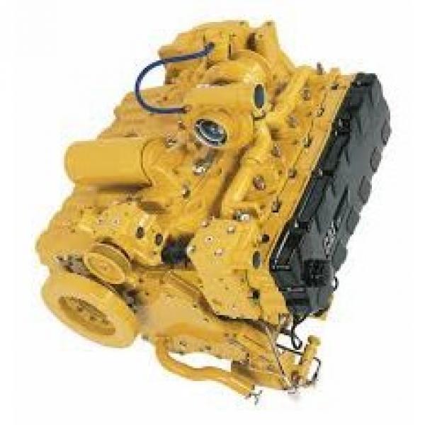 Caterpillar 306 Hydraulic Final Drive Motor #1 image
